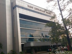 Daftar Tenaga Honorer yang Pasti Dihapus pada 2023