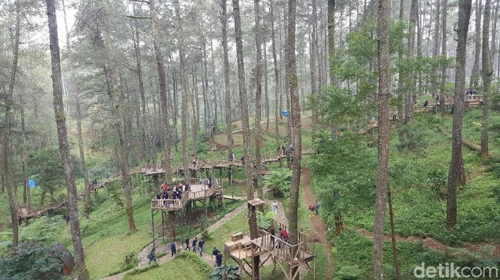 Orchid Forest Lembang, Bandung