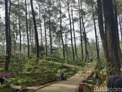 Orchid Forest Cikole: Jam Buka, Tiket Masuk, Hingga Fasilitasnya