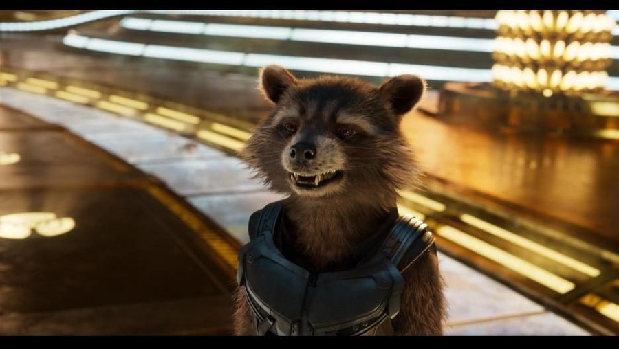 Rocket Raccoon di Guardian of the Galaxy.