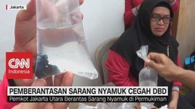 Pemberantasan Sarang Nyamuk Cegah DBD, Ikan Cupang Dilepas