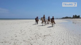 VIDEO: Rio Dewanto Jinakkan Kuda Sumba