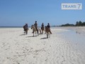 VIDEO: Rio Dewanto Jinakkan Kuda Sumba