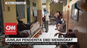 Jumlah Penderita DBD Meningkat, 7 Orang Meninggal
