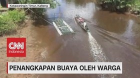 Meresahkan, Warga Tangkap Buaya Dengan Perangkap