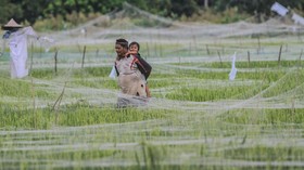 Syarat Penundaan Pembayaran Cicilan KUR Petani