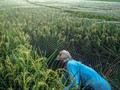 PUPR Siap Garap Proyek Lumbung Pangan Oktober 2020