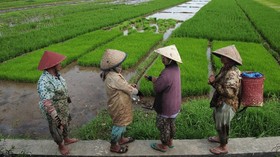UU Cipta Kerja Disebut Berpotensi Mengancam Hutan Adat