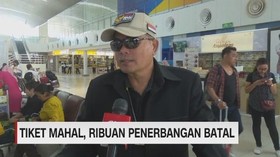 Tiket Mahal, Ribuan Penerbangan Batal