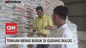 Temuan Beras Busuk di Gudang Bulog