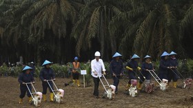 Konflik Lahan Masih Terjadi, Warga Jambi Sindir Jokowi