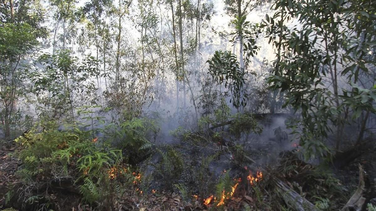 FOTO: Upaya Memadamkan Kebakaran Lahan yang Meningkat di Riau
