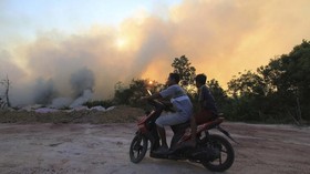 Karhutla Riau Capai 1.136 Hektare dalam Dua Bulan