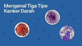INFOGRAFIS: Membedakan Tiga Tipe Kanker Darah