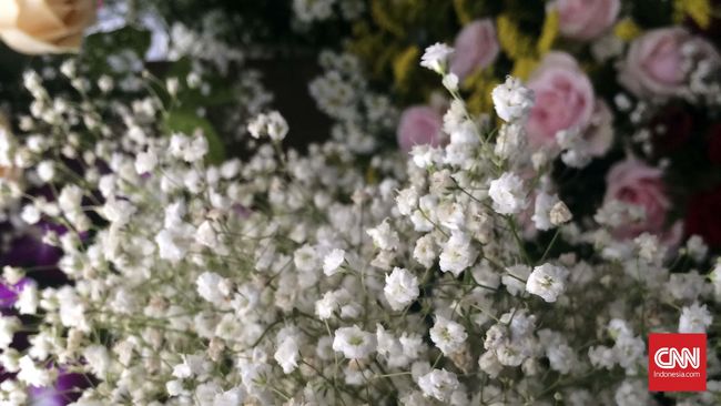 Cara Membuat Bunga Kamboja Dari Kain Flanel Frangipani Flowers Youtube
