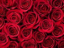 Warga Arab Saudi Siap Rayakan Hari Valentine yang Tadinya Haram