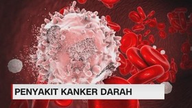 Mengenal Penyakit Kanker Darah