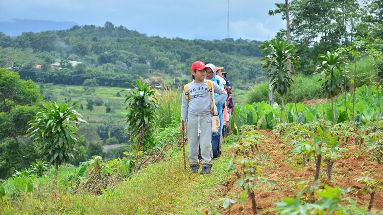 Bunda bosan selalu mengajak anak ke mal? Kegiatan Hiking Bocah bisa jadi pilihan liburan bareng keluarga sekaligus memperkuat bonding dengan anak.