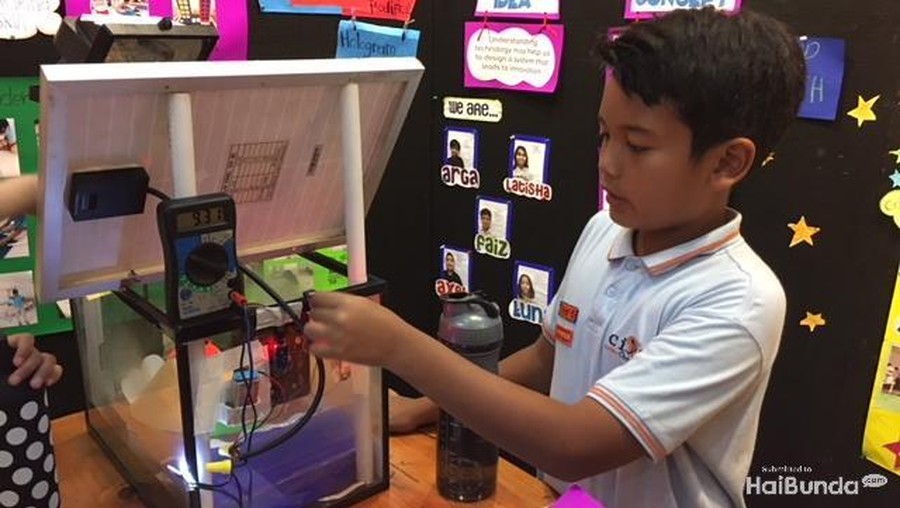 PYP Exhibition, Ajang Pembuktian Kreativitas Anak SD di Bidang Sains