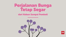 VIDEOGRAFIS: Jalan Panjang Bunga Segar