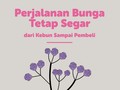 VIDEOGRAFIS: Jalan Panjang Bunga Segar
