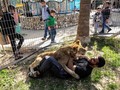 Hewan-hewan di Kebun Binatang Gaza Mendapat Rumah Baru