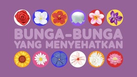 INFOGRAFIS: Bunga-bunga yang Menyehatkan