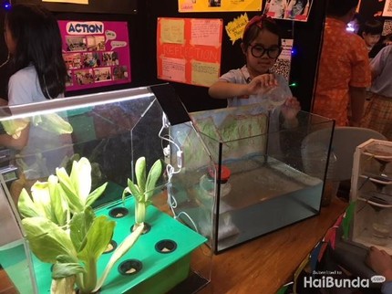 Intip Karya Keren Anak SD Berbasis Sains di PYP Exhibition