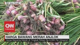 Musim Panen, Harga Bawang Merah Anjlok