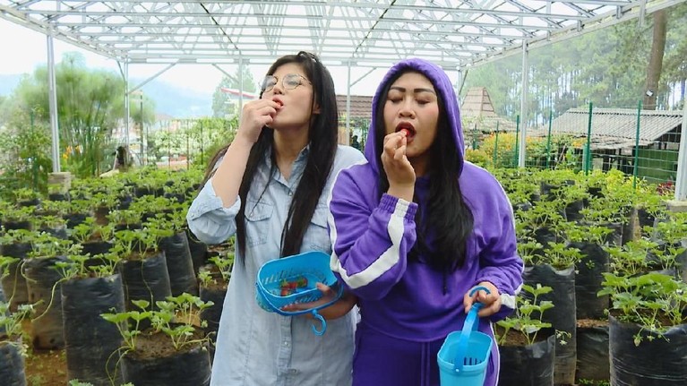 Seperti apa sih keseruan Dita Soedarjo jelajahi Bandung bersama Boiyen? Jangan lupa tonton Celebrity On Vacation Sabtu 16 Februari pukul 07.30 WIB di Trans TV.