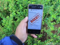 Update Hoax Corona: Kominfo Temukan 147, Termasuk Disinformasi