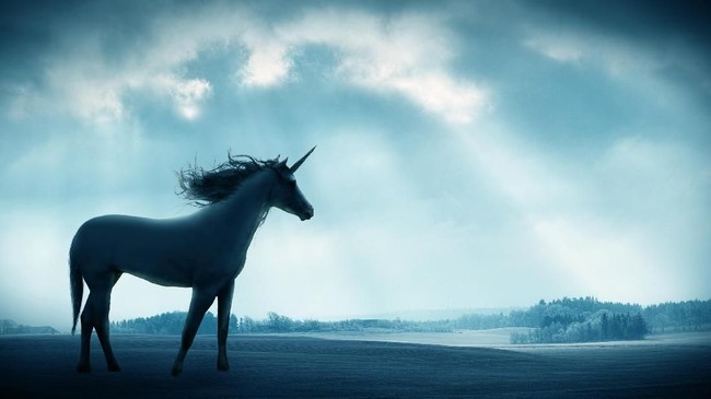 Istilah unicorn yang merupakan kuda bertanduk satu dalam kisah mitologi digunakan untuk mewakili kelangkaan dan kekhasan startup bernilai US$1 miliar.