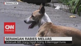 Serangan Rabies Meluas