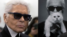 Choupette, Kucing Tajir Karl Lagerfeld Diundang ke Met Gala 2023