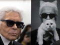 Kucing Choupette Dikabarkan Bakal Warisi Harta Karl Lagerfeld