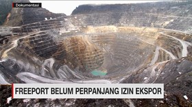 Freeport Belum Perpanjang Izin Ekspor