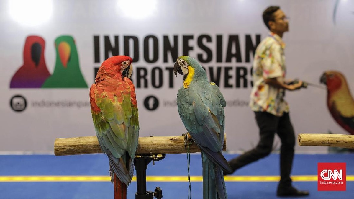FOTO: Hewan Peliharaan Juga Harus Bahagia dan Sejahtera