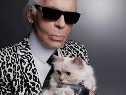 Choupette, Kucing Karl Lagerfeld Ditinggali Warisan Rp 26 M Kini Hidup Susah