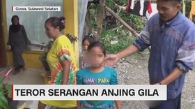Teror Serangan Anjing Gila