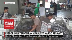 Kargo Mahal, Eksportir Tuna Aceh Terancam Gulung Tikar