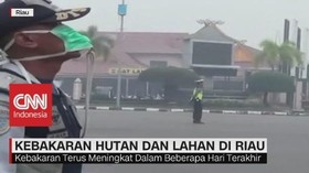 Kebakaran Hutan & Lahan di Riau Meningkat