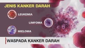 Mengenal Gejala dan Jenis Kanker Darah Sedini Mungkin Seg 5