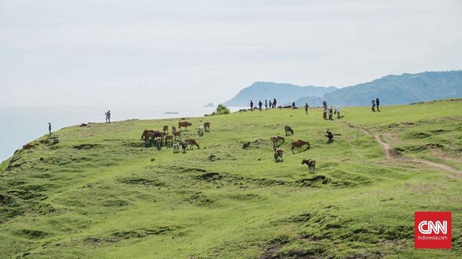 Bagi turis yang ingin 'beach hopping' minim keramaian dan kesumpekan, Lombok jadi destinasi wisata yang wajib didatangi.