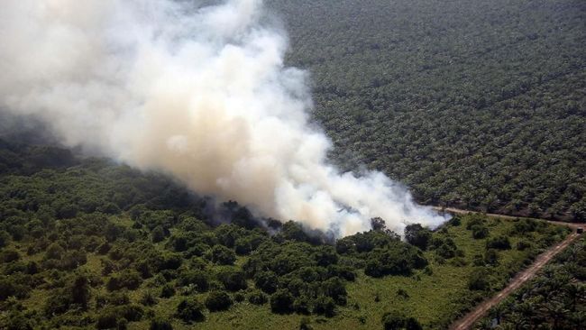 Kementerian Lingkungan Hidup dan Kehutanan (KLHK) ingin pengadilan segera mengeksekusi pidana denda perusahaan sawit pembakar lahan di Kalimantan Tengah.