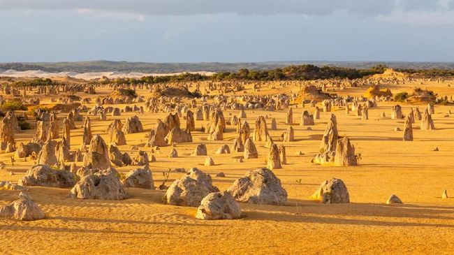 Rasanya kurang lengkap jika berkunjung ke kota Perth, Australia Barat, tanpa mengunjungi Pinnacles.