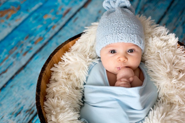 Teddy Judul dari lagu kesukaan bisa jadi ide buat Bunda yang lagi menyiapkan nama bayi untuk si kecil.