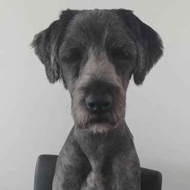 6 Artis 'The Last Empress' Yang Punya Hewan Peliharaan