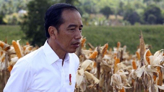 Jokowi mengatakan peraturan KPU tak mengharuskan dirinya cuti total. Sehingga dia memilih memanfaatkan waktu libur Sabtu-Minggu untuk mengoptimalkan kampanye.