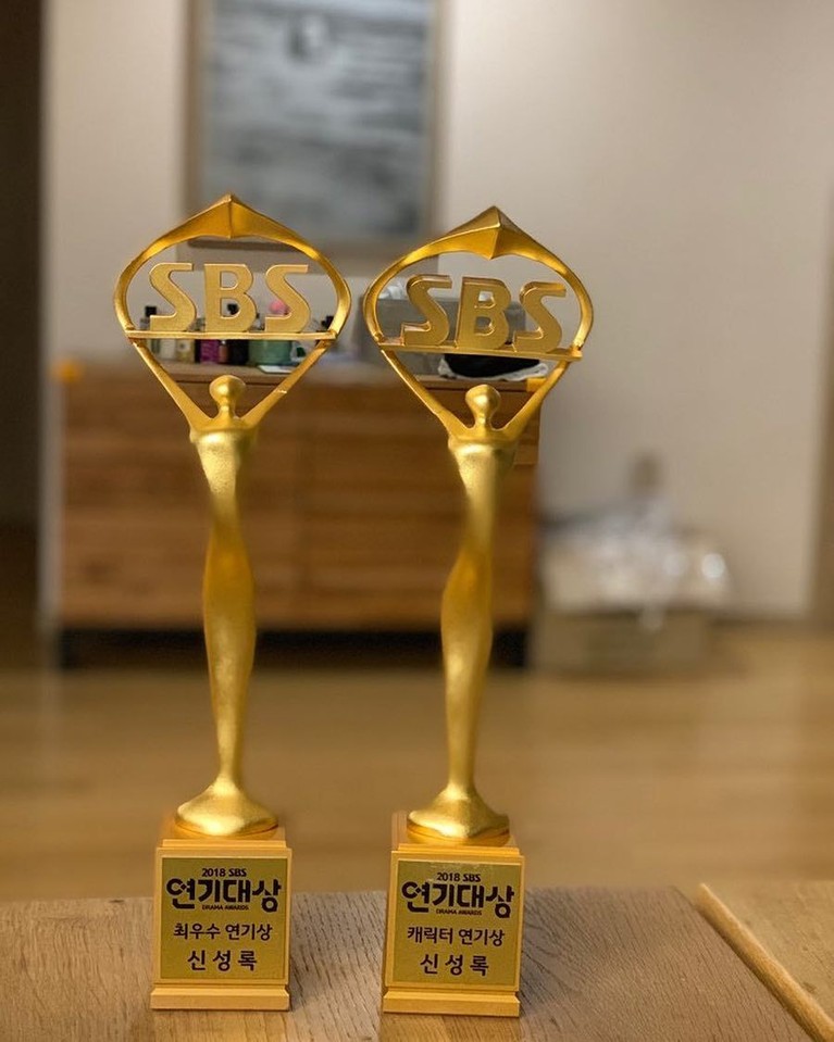 Di acara SBS Drama Awards tahun 2018, Shin Sung Rok juga meraih penghargaan dalam nominasi 'Best Characters' lewat film Return.