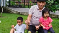 <p>Tak hanya dengan anak Hanum Rais, dengan cucu dari anak lainnya pun cukup dekat. Amien mengajak mereka untuk memanen mangga yang sudah ranum nih. Wah tampaknya lezat banget ya. (Foto: Instagram @hanumrais)</p>